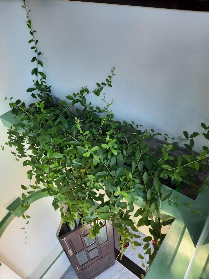 Gia Thanh Homestay Hội An Buitenkant foto